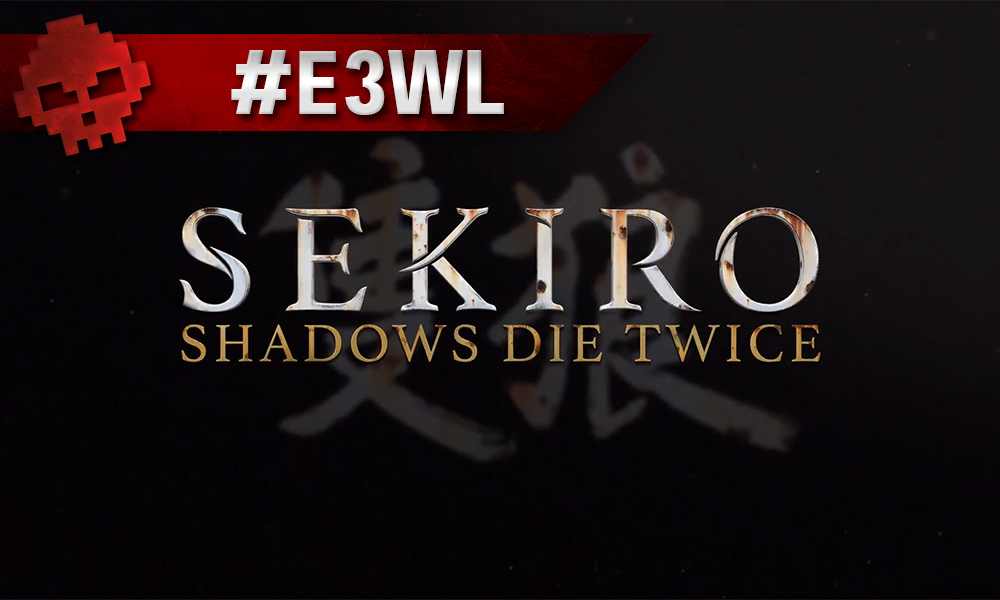 Vignette sekiro e3wl