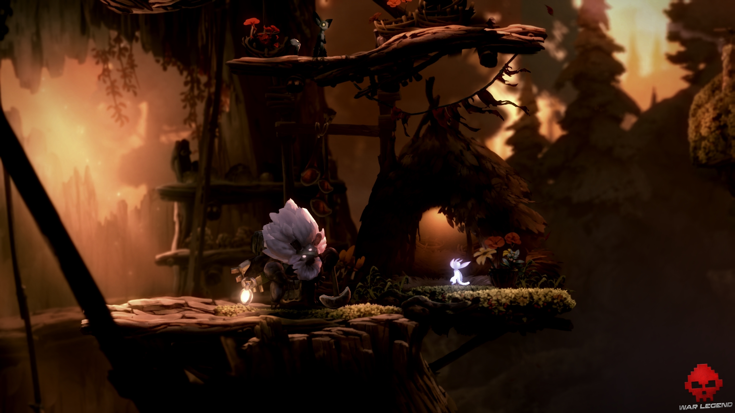 WL Ori and the will of the wisps clairière de la source