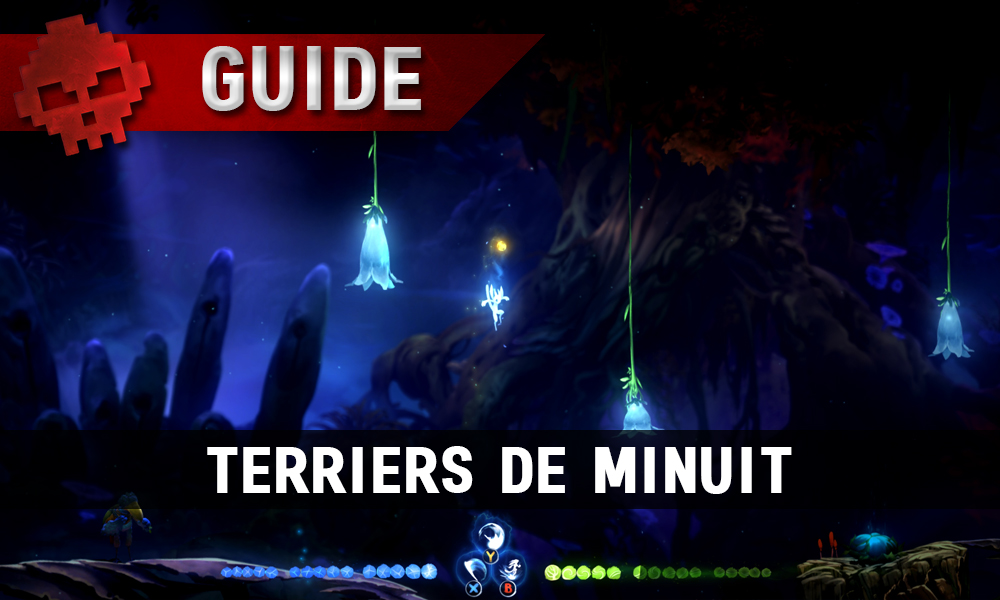 WL vignette guide Ori and the will of the wisps terriers de minuit