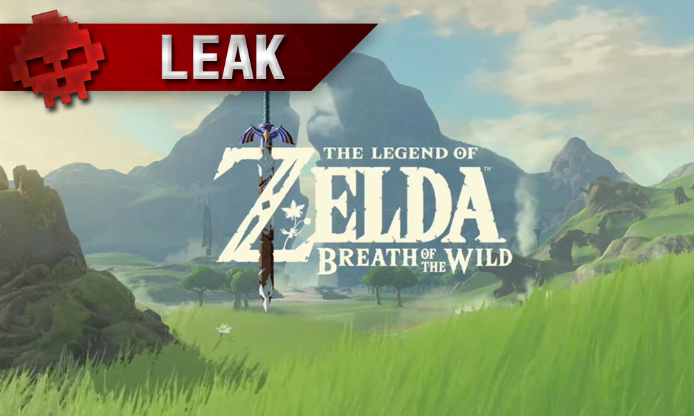 Zelda: Breath of the Wild - Une sortie prévue au lancement de la Switch ? Prairies et montagnes