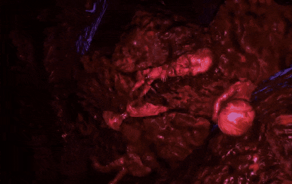 Une créature écrasant un corps avec des pierres