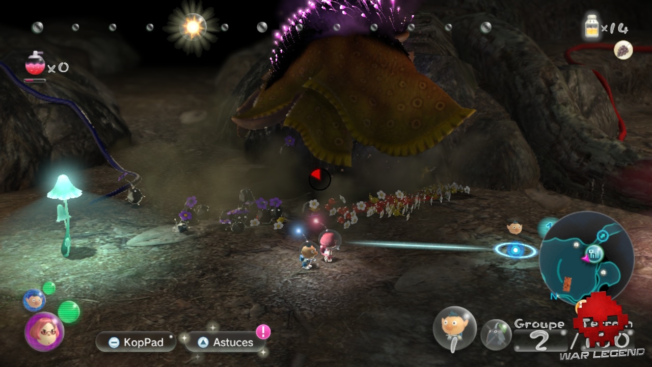 aperçu_Pikmin3Deluxe10