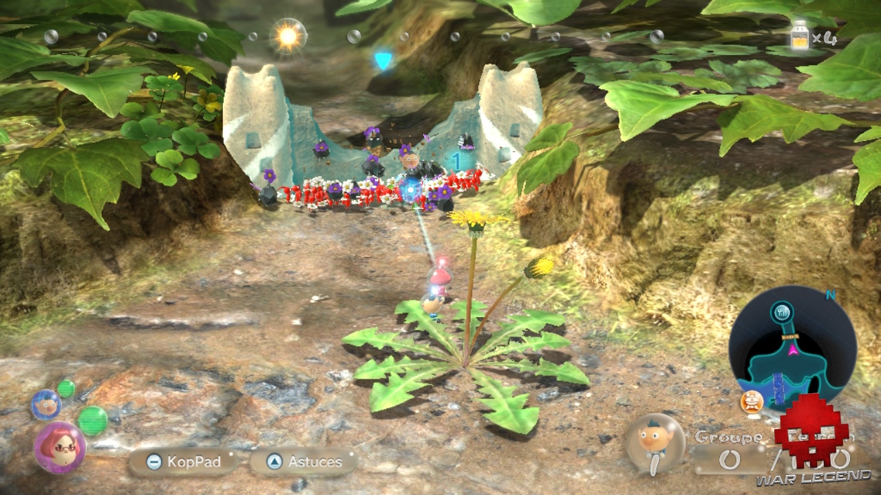 aperçu_Pikmin3Deluxe15