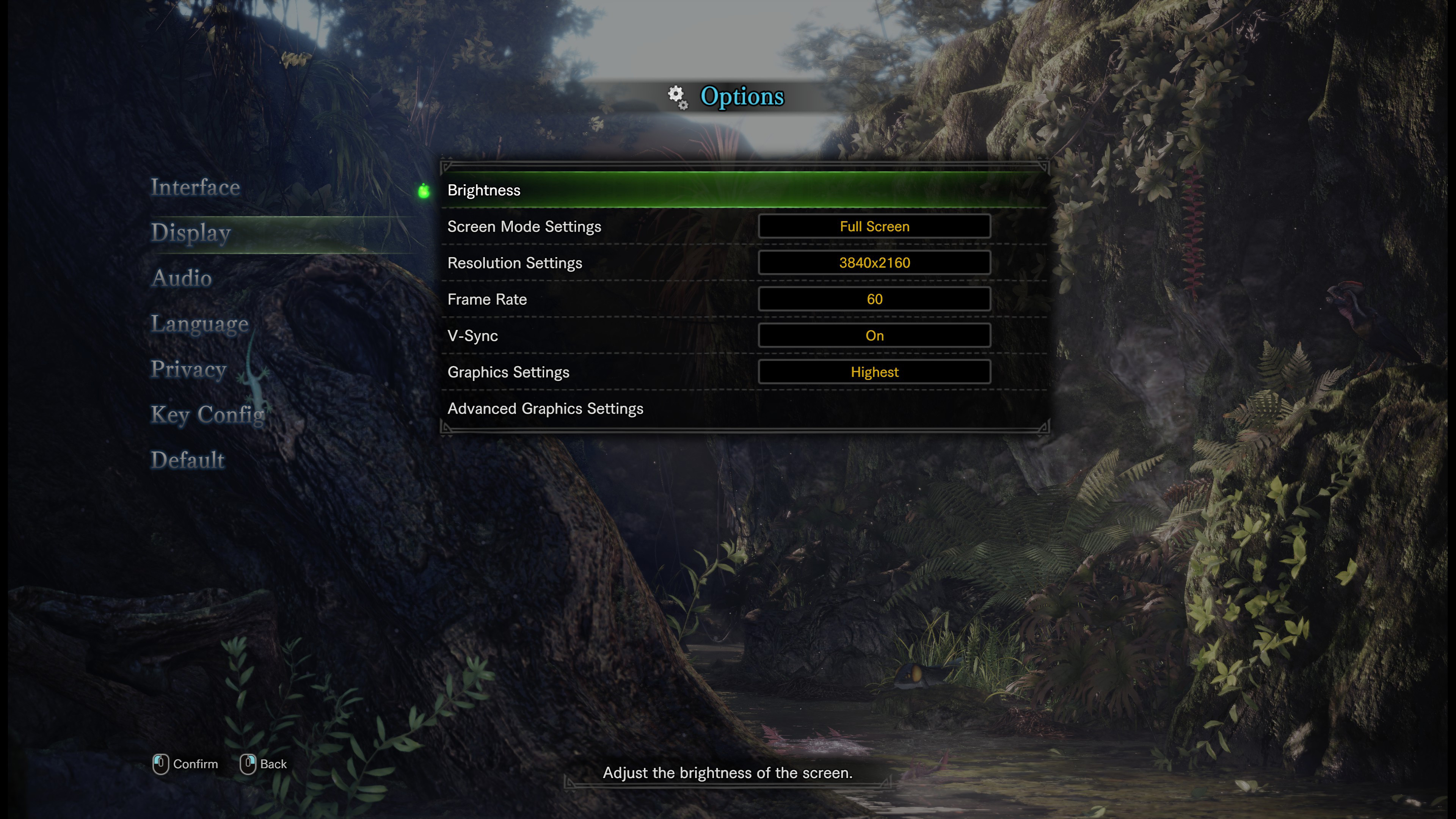 Screenshot options Monster Hunter World