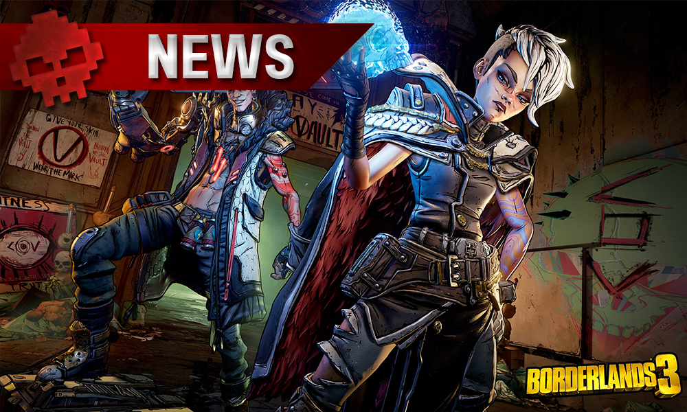 borderlands 3 vignette