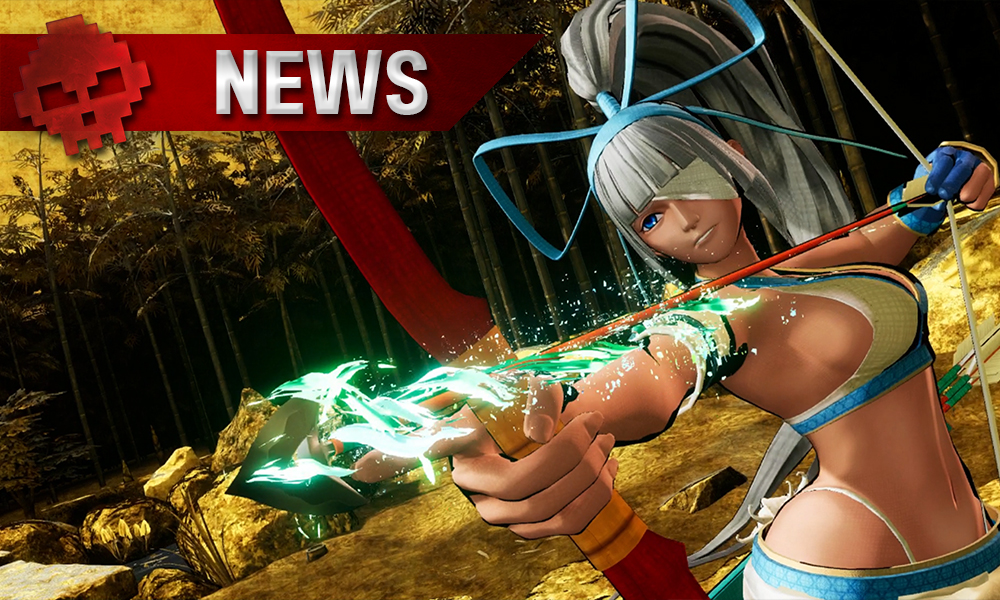 vignette samurai shodown