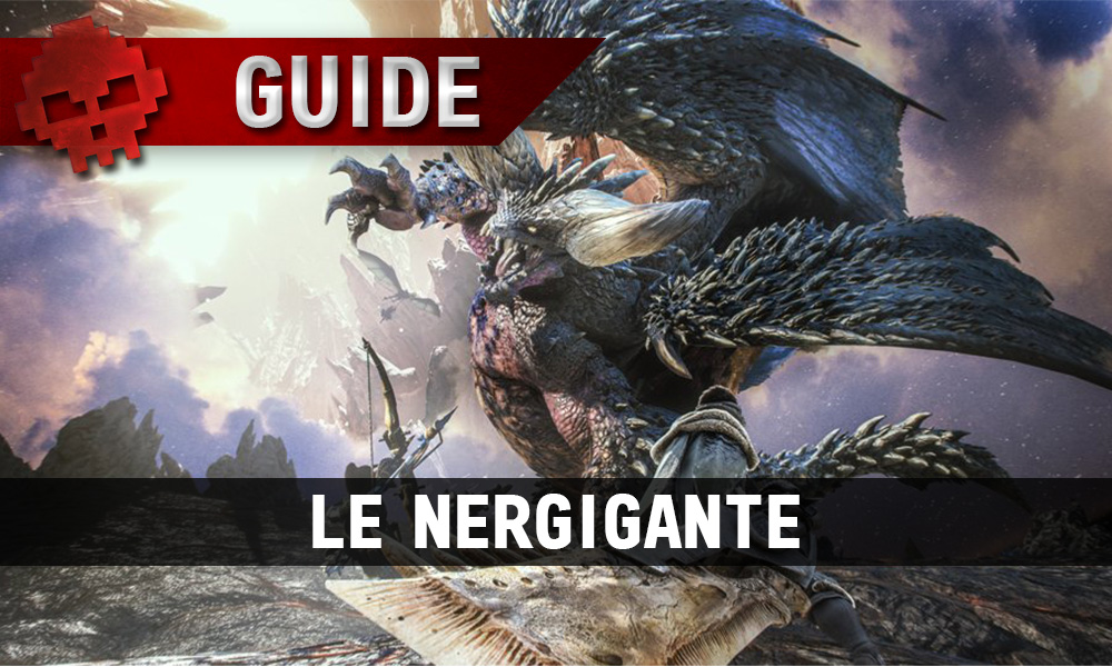 Les chasseurs face au Nergigante