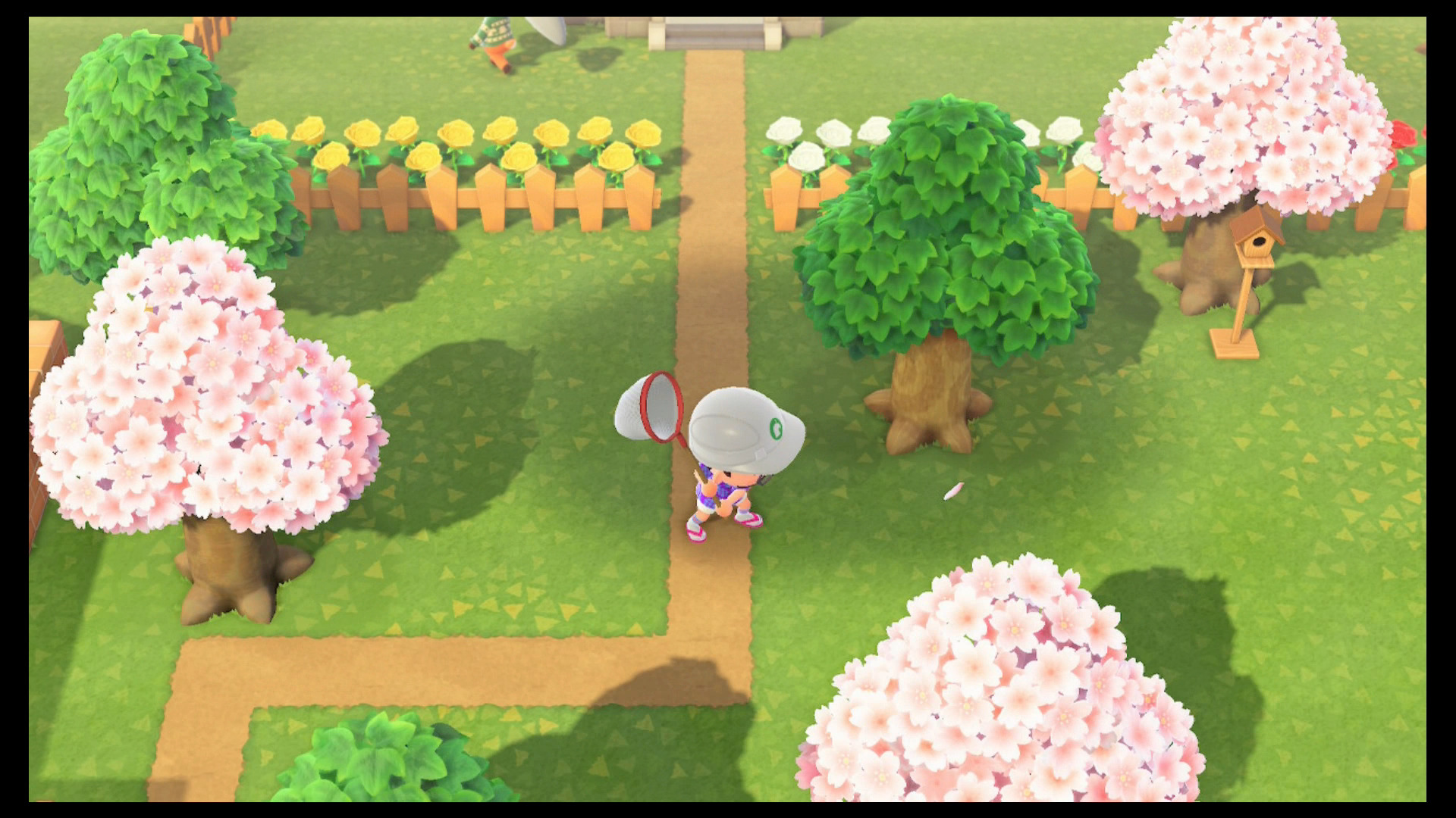 Guide Animal Crossing New Horizons Les pétales de cerisier