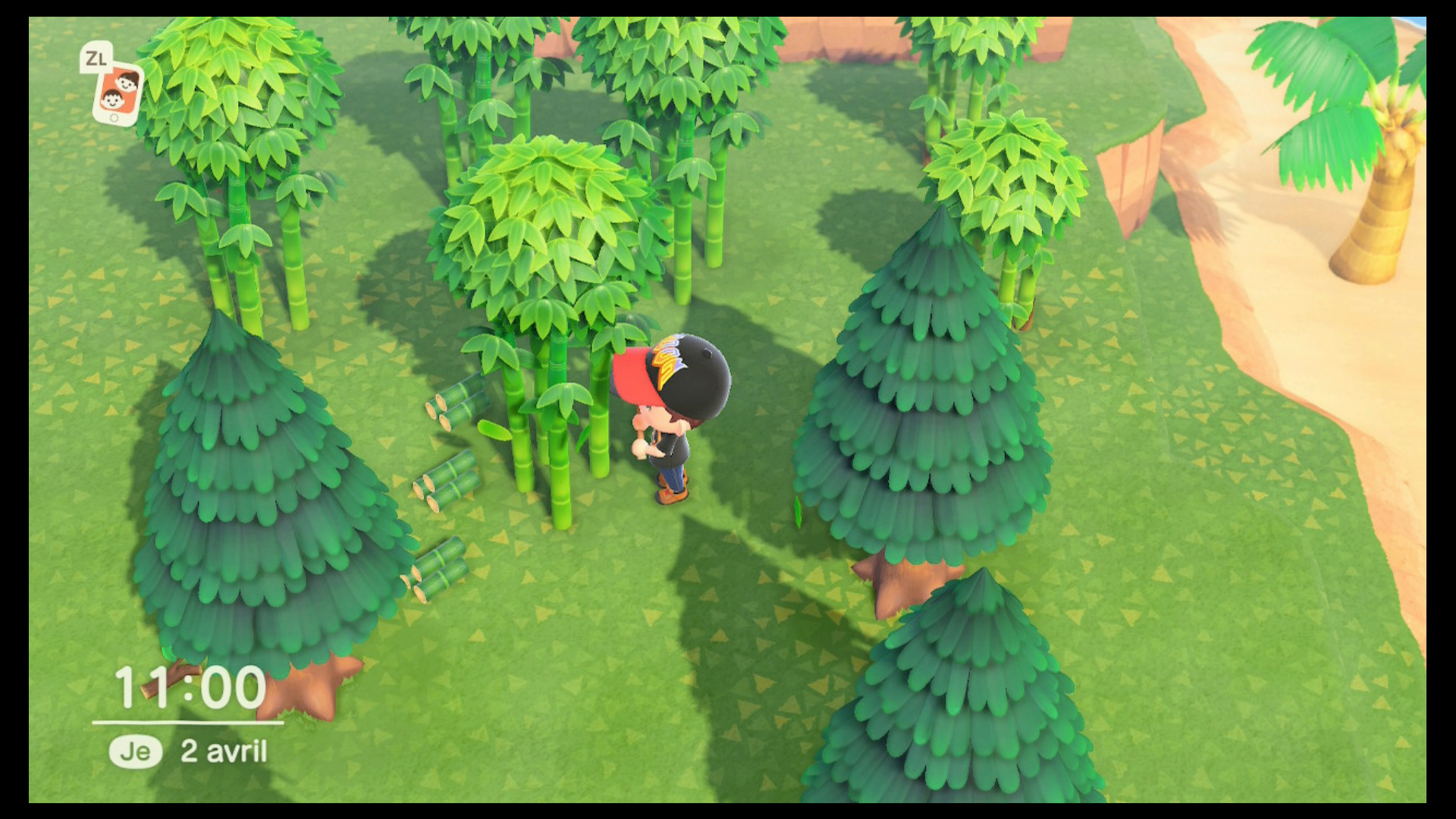 Guide Animal Crossing New Horizons Cultiver et récolter des morceaux