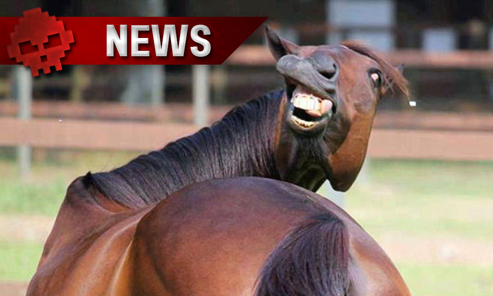 Vignette news red dead redemption 2