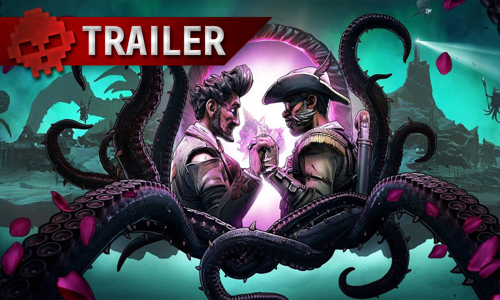 vignette borderlands 3