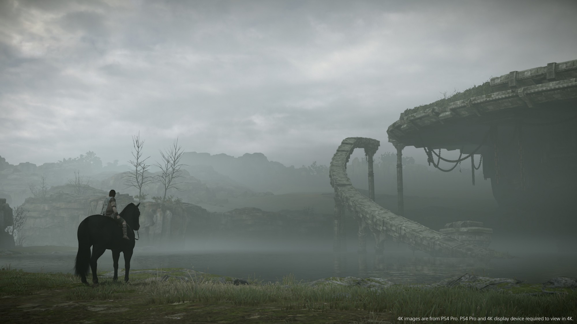 shadow of the colossus image