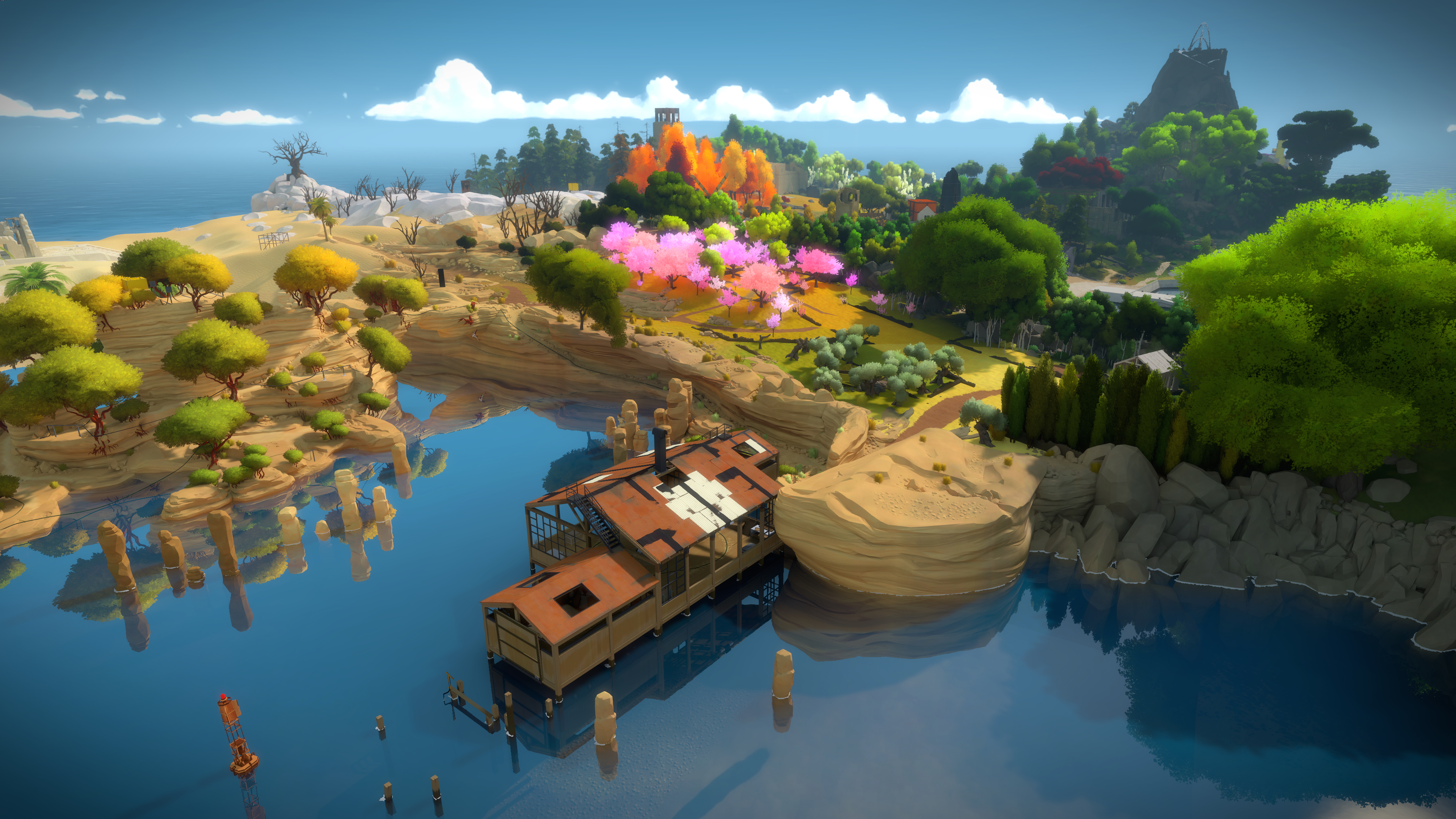 The Witness image