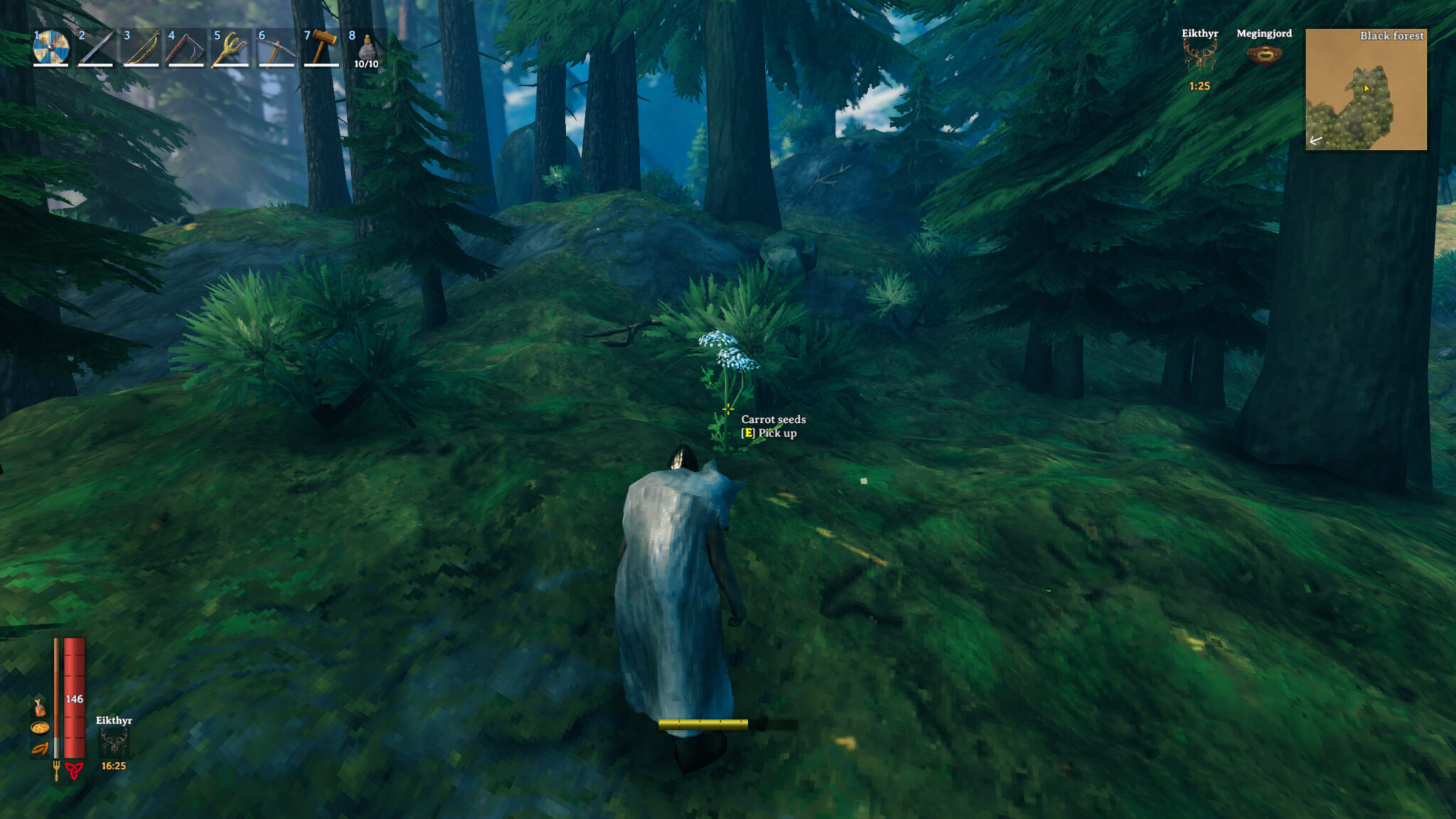 Guide Valheim Comment planter des graines